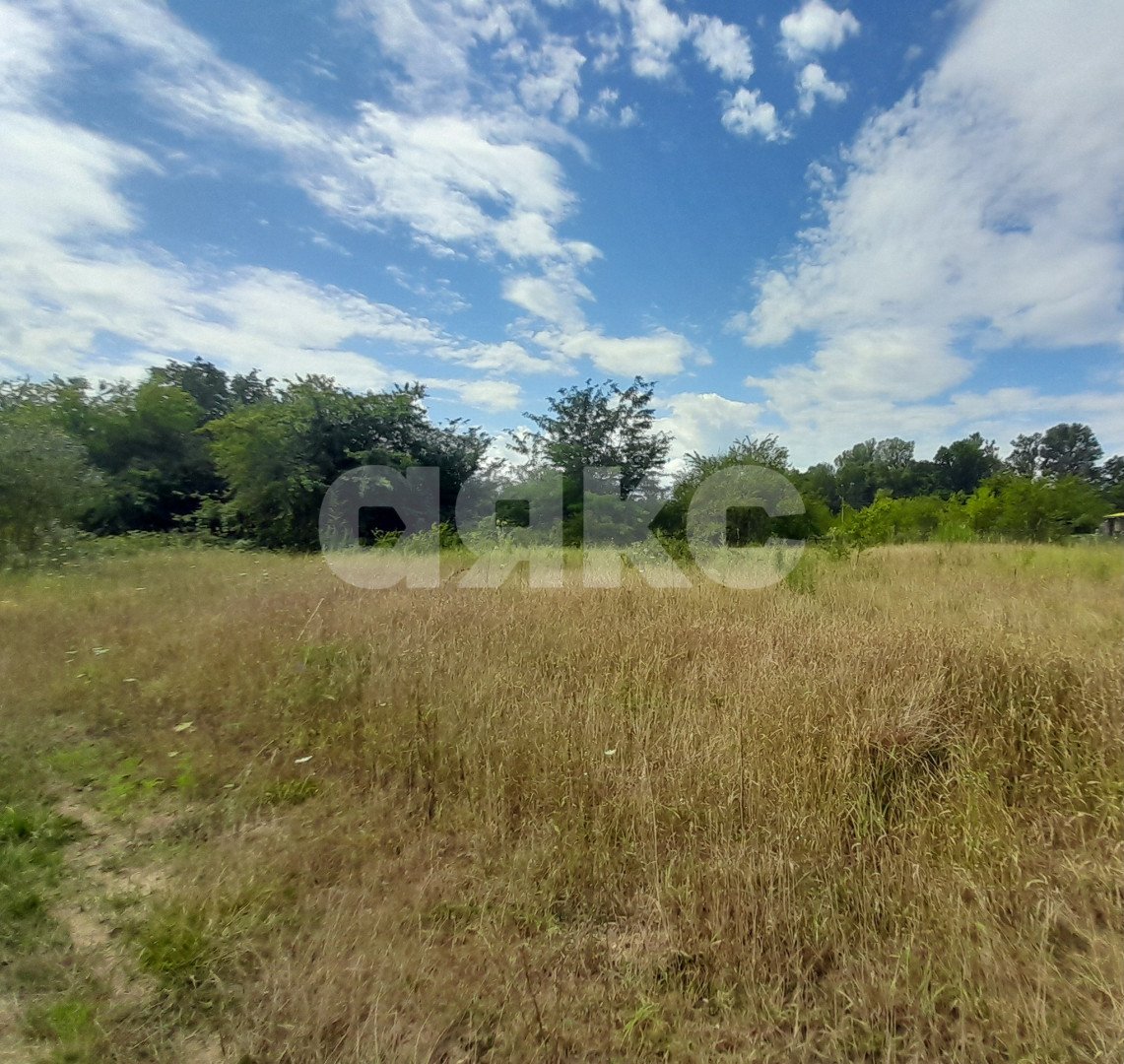 Фото №3: Личное подсобное хозяйство 15 сот. - Кутаисская