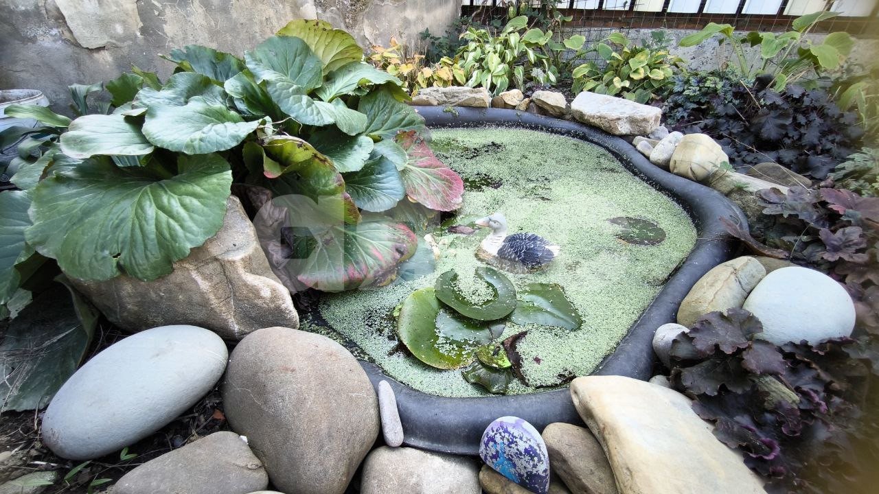 Фото №35: Таунхаус 115 м² + 3.3 сот. - Горячий Ключ, Развилка, мкр. Развилка, ул. Заводской тупик