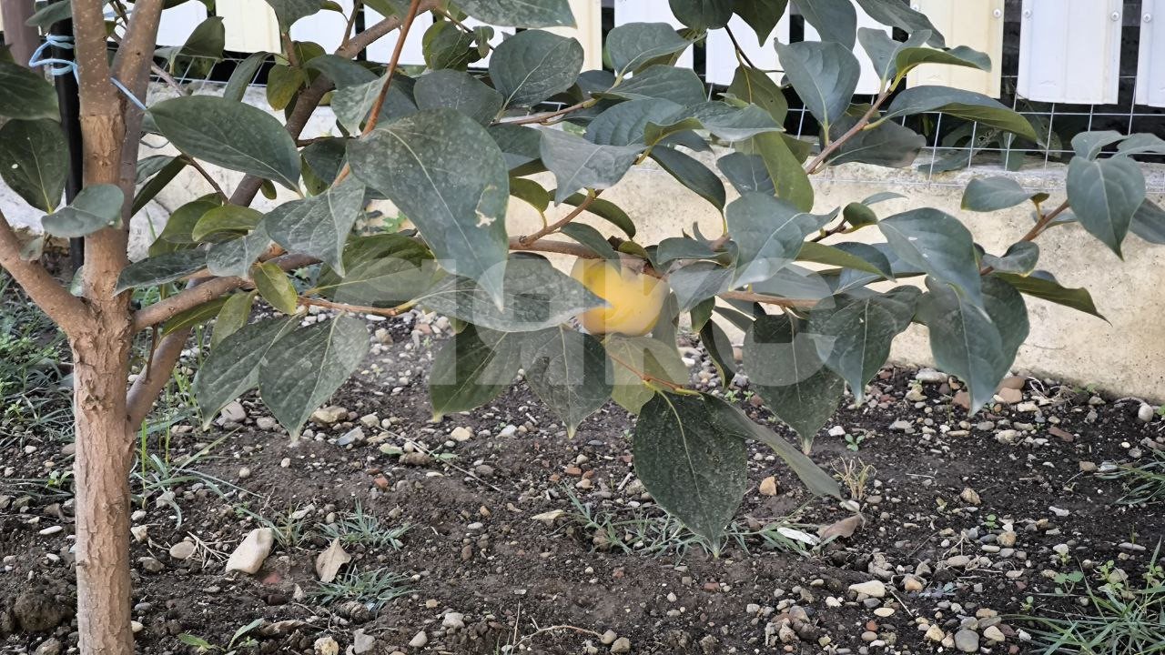 Фото №30: Таунхаус 115 м² + 3.3 сот. - Горячий Ключ, Развилка, мкр. Развилка, ул. Заводской тупик