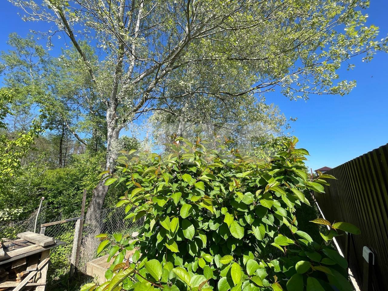 Фото №28: Дом 129 м² + 6.9 сот. - Горячий Ключ, Курортный, мкр. Курортный, ул. Абрикосовая