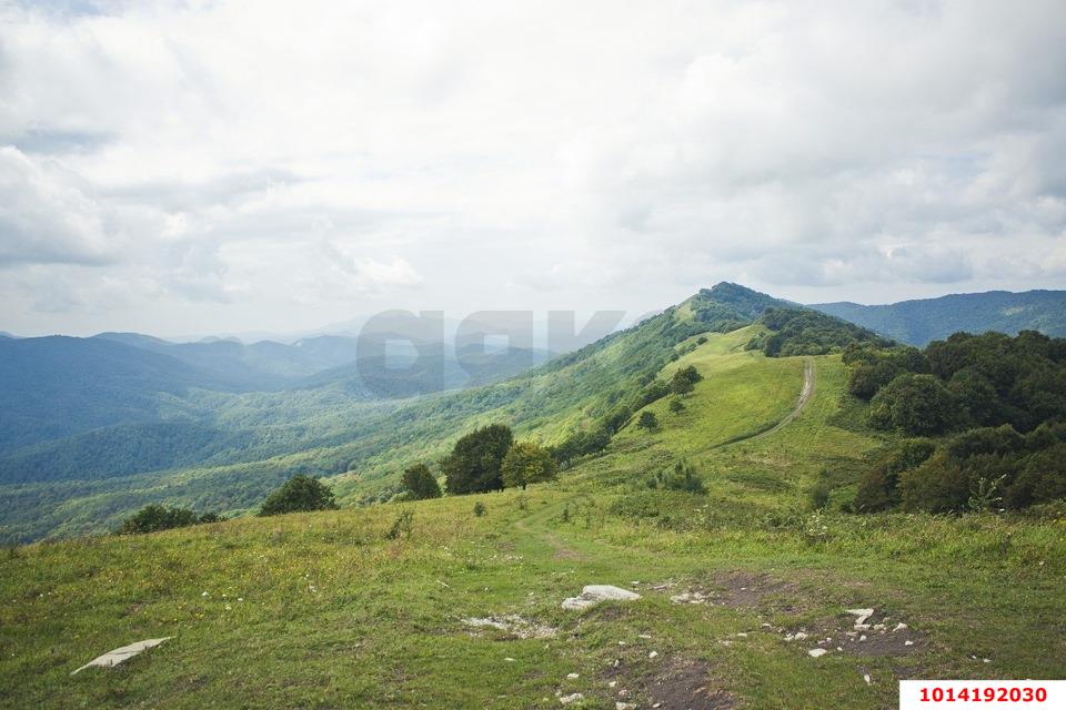 Фото №3: Земельный участок 75.17 сот. - Хребтовое, ул. Изумрудная, 13