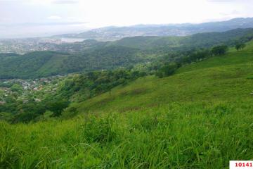 Фото №1: Земельный участок 75.17 сот. - Хребтовое, ул. Изумрудная, 13