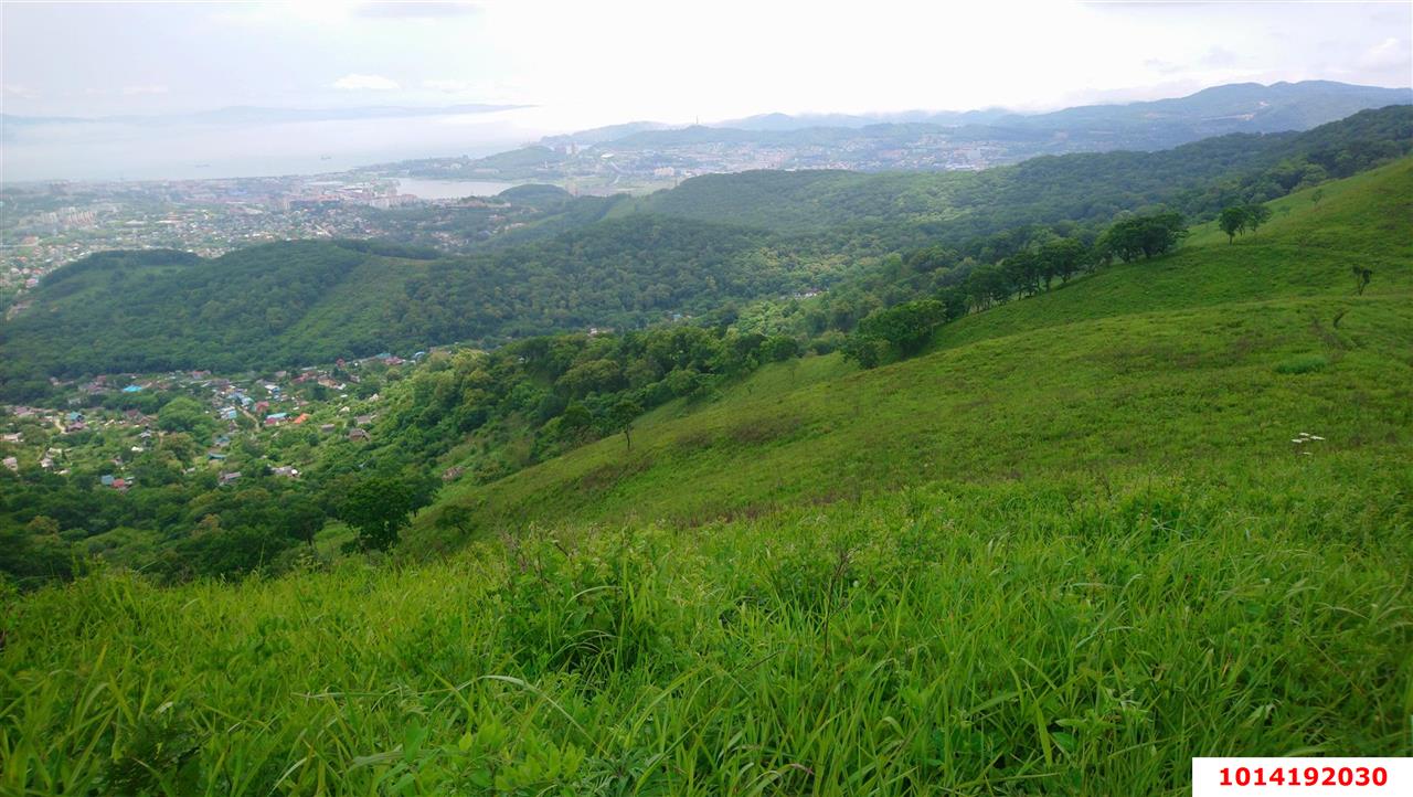 Фото №1: Земельный участок 75.17 сот. - Хребтовое, ул. Изумрудная, 13