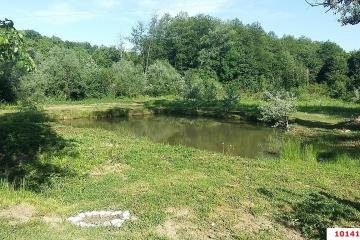 Фото №4: Земельный участок 75.17 сот. - Хребтовое, ул. Изумрудная, 13