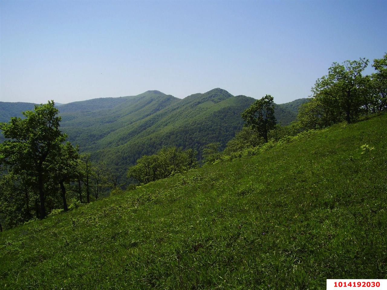 Фото №6: Земельный участок 75.17 сот. - Хребтовое, ул. Изумрудная, 13