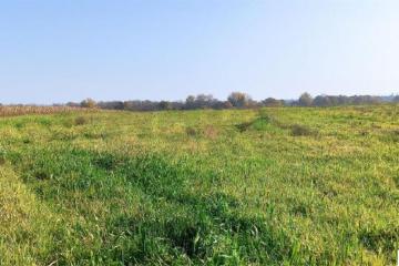 Фото №5: Коммерция 305 м² - Свободный, ул. Садовая, 26