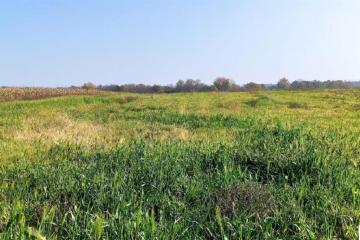 Фото №1: Коммерция 305 м² - Свободный, ул. Садовая, 26