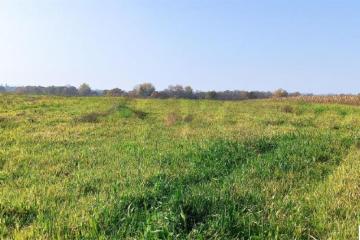 Фото №4: Коммерция 458 м² - Краснодарский край Северский район