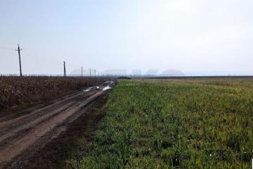 Фото №2: Коммерция 458 м² - Краснодарский край Северский район