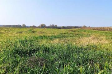 Фото №5: Коммерция 458 м² - Краснодарский край Северский район