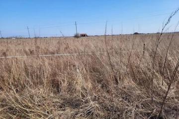 Фото №4: Земельный участок 10.25 сот. - Ильский, пер. Короткий, 8