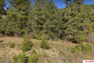 Фото №5: Коммерция 20 м² - Архыз, ул. 91Н-016, 5-й километр