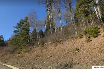 Фото №4: Коммерция 20 м² - Архыз, ул. 91Н-016, 5-й километр