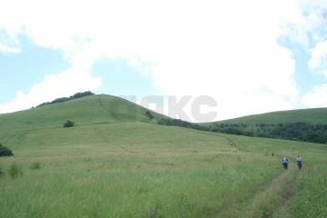 Фото №2: Земельный участок 241 сот. - Хребтовое, ул. Изумрудная, 17