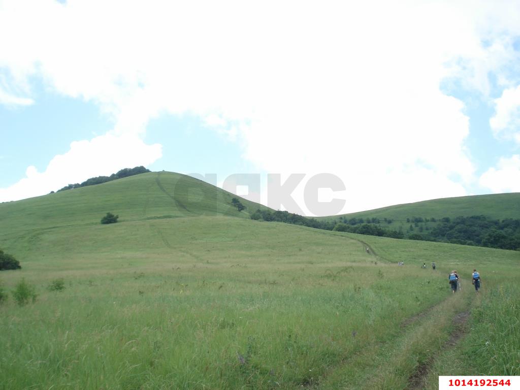 Фото №2: Земельный участок 241 сот. - Хребтовое, ул. Изумрудная, 17