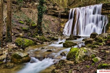 Фото №3: Земельный участок 241 сот. - Хребтовое, ул. Изумрудная, 17