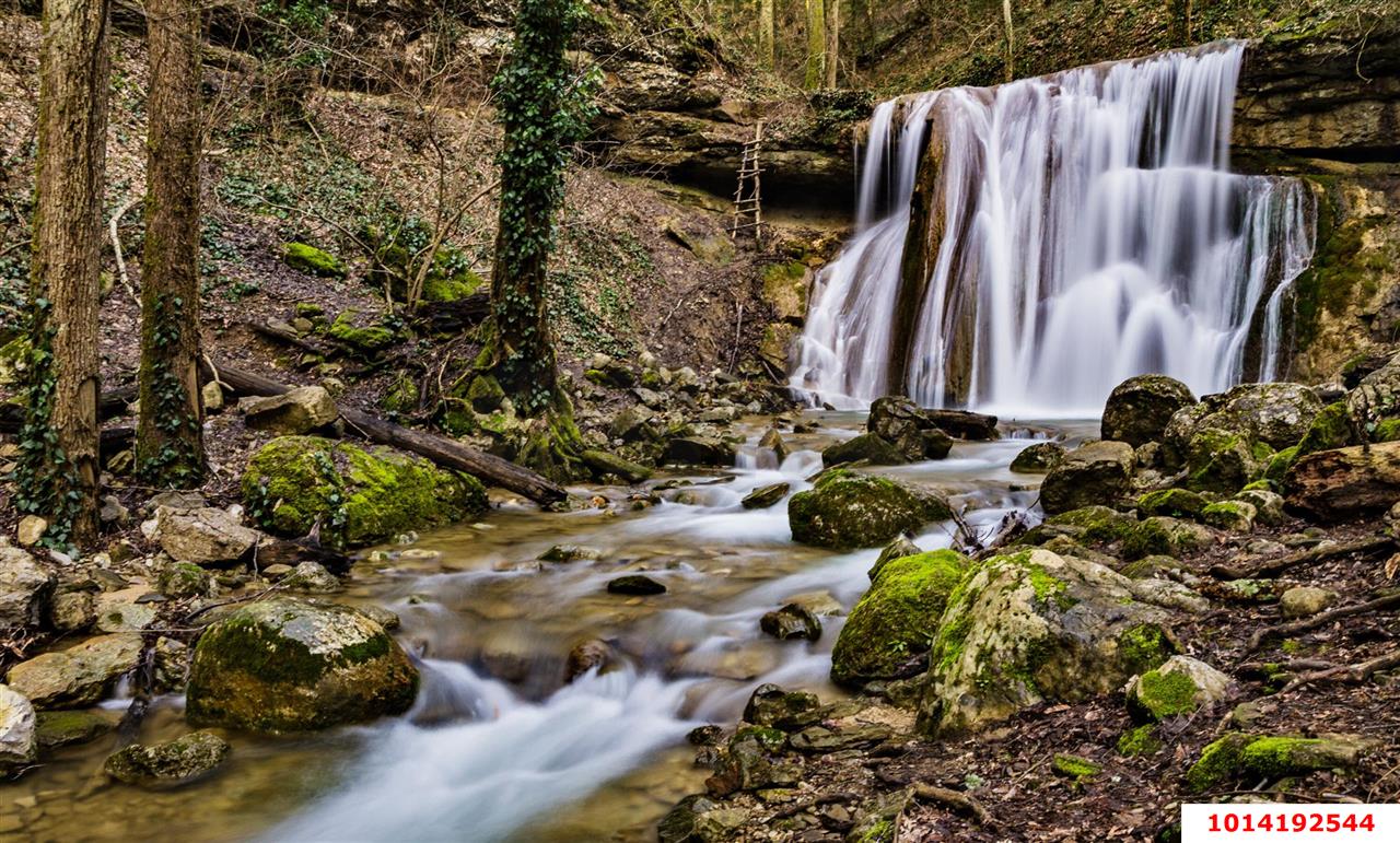 Фото №3: Земельный участок 241 сот. - Хребтовое, ул. Изумрудная, 17