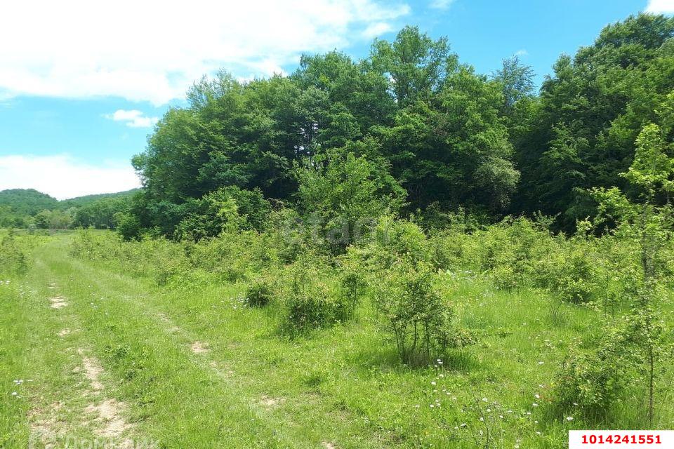 Фото №2: Коммерция 250 м² - Горячий Ключ, мкр. Курортная Зона, ул. Садовая, 3