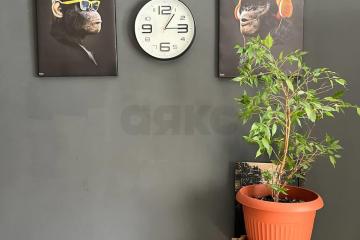 Фото №3: 1-комнатная квартира 42 м² - Новая Адыгея, ул. Западная, 7