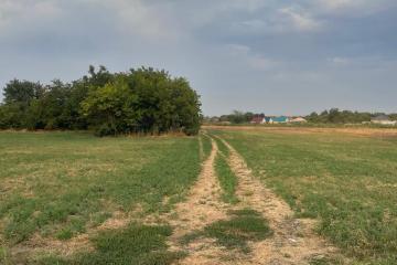 Фото №3: Земельный участок 7.99 сот. - садовое некоммерческое товарищество Авиатор, мкр. Прикубанский внутригородской округ, ул. Приканальная