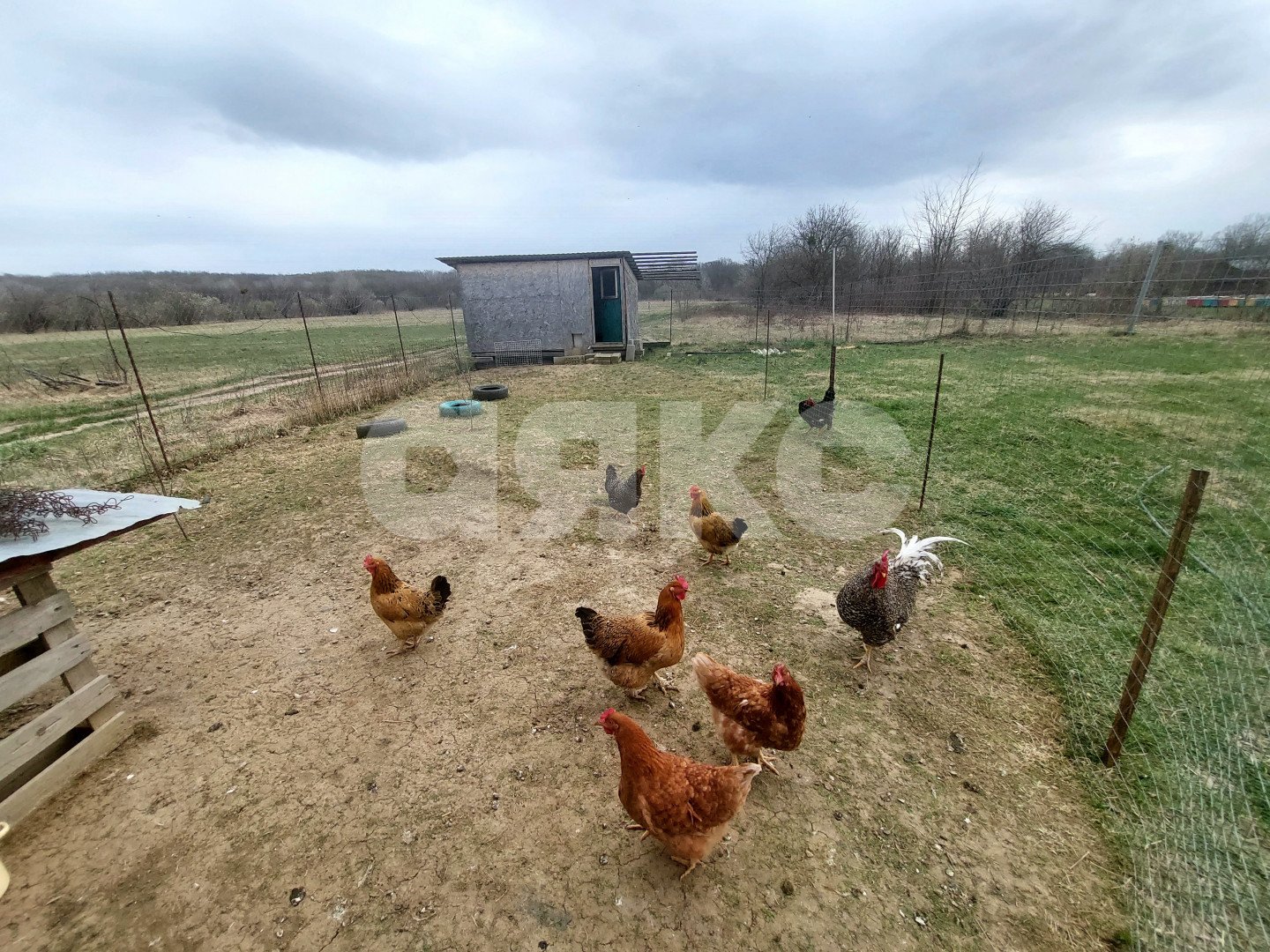 Фото №23: Дом 40 м² + 25 сот. - Имеретинская, ул. Шоссейная