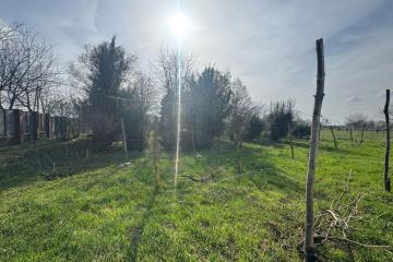 Фото №3: Земельный участок 19.98 сот. - Восточный, мкр. Прикубанский внутригородской округ, 4