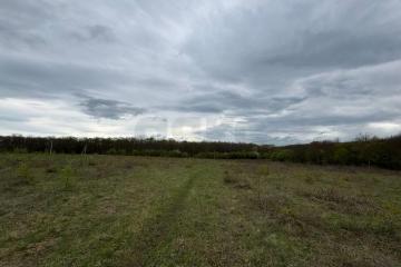 Фото №3: Коммерция 196 м² - Красноармейский, ул. Ворошилова, 16