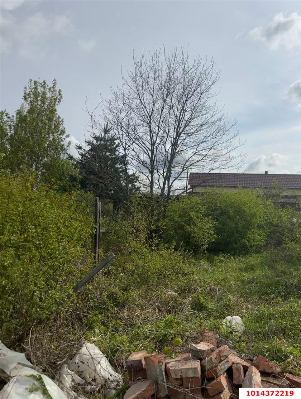 Фото №3: Земельный участок 6 сот. - Усадьба