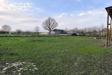 Фото №5: Коммерция 27 м² - Суздальская, ул. Богацкого