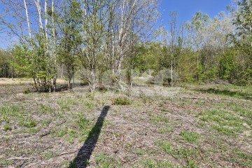 Фото №4: Личное подсобное хозяйство - Надежда, мкр. жилой комплекс Горячий, 