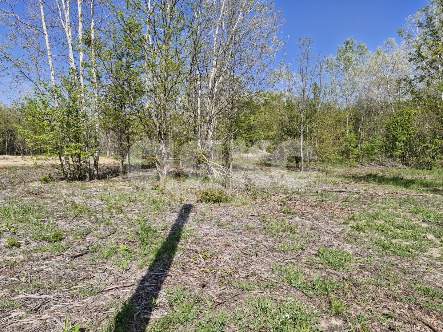 Фото №4: Личное подсобное хозяйство 6 сот. - Надежда, Городская Больница, мкр. жилой комплекс Горячий