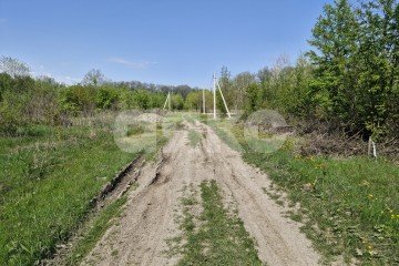 Фото №5: Личное подсобное хозяйство - Надежда, мкр. жилой комплекс Горячий, 