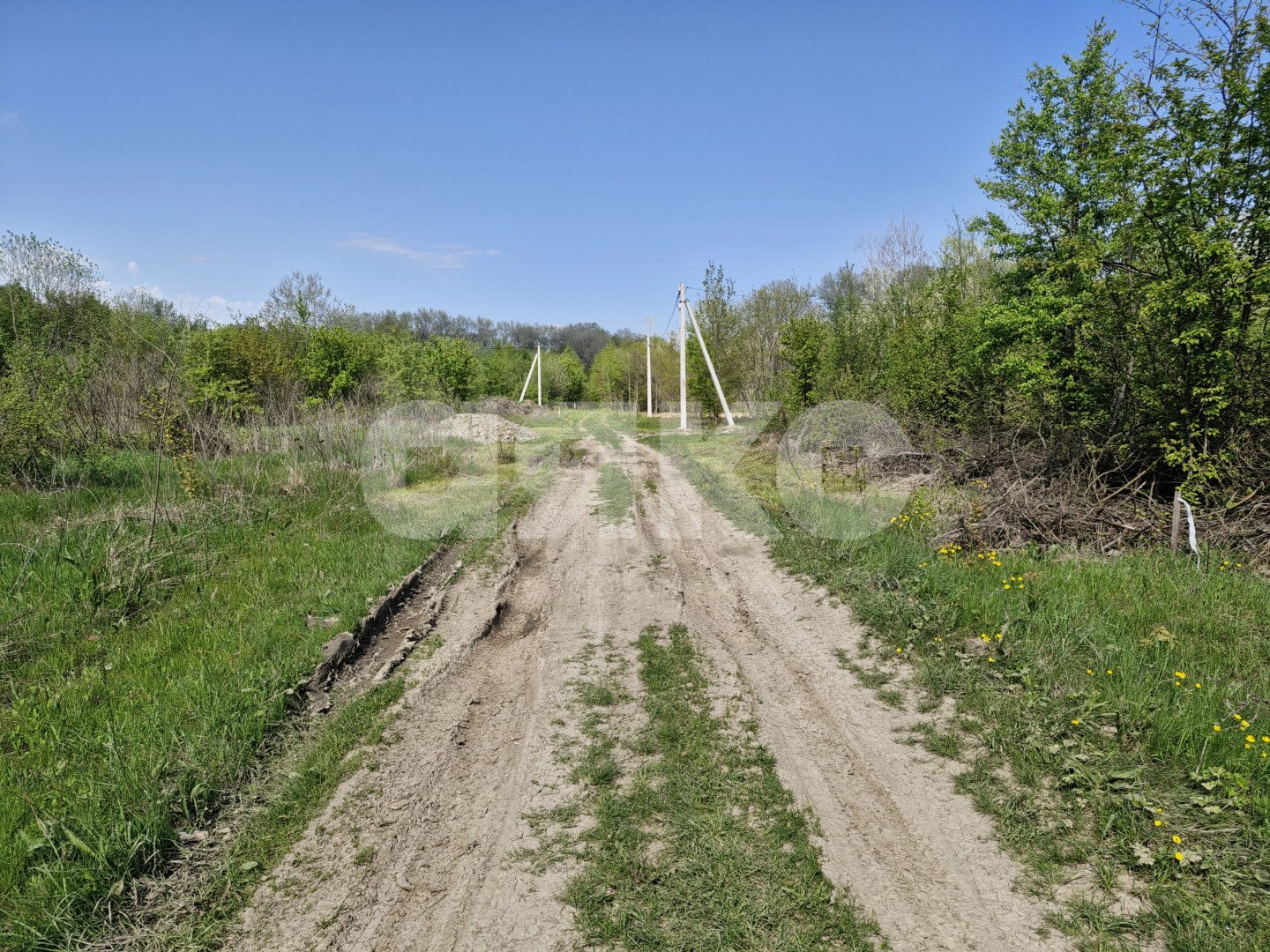 Фото №5: Личное подсобное хозяйство 6 сот. - Надежда, Городская Больница, мкр. жилой комплекс Горячий
