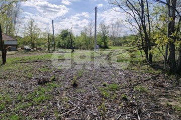 Фото №2: Личное подсобное хозяйство - Надежда, мкр. жилой комплекс Горячий, 