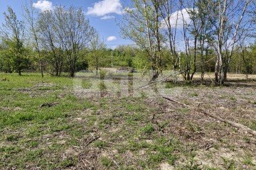 Фото №1: Личное подсобное хозяйство - Надежда, мкр. жилой комплекс Горячий, 