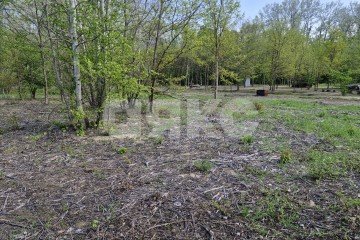 Фото №3: Личное подсобное хозяйство - Надежда, мкр. жилой комплекс Горячий, 