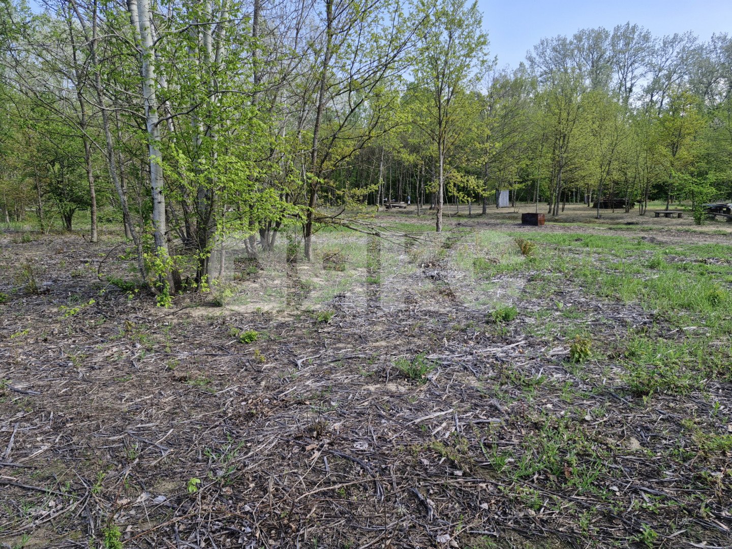 Фото №3: Личное подсобное хозяйство 6 сот. - Надежда, Городская Больница, мкр. жилой комплекс Горячий