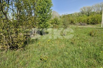 Фото №5: Личное подсобное хозяйство - Надежда, мкр. жилой комплекс Горячий, 