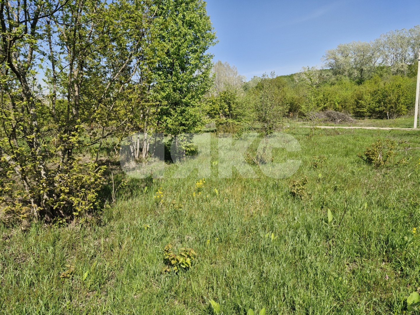 Фото №5: Личное подсобное хозяйство 10 сот. - Надежда, Городская Больница, мкр. жилой комплекс Горячий