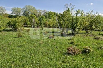 Фото №4: Личное подсобное хозяйство - Надежда, мкр. жилой комплекс Горячий, 