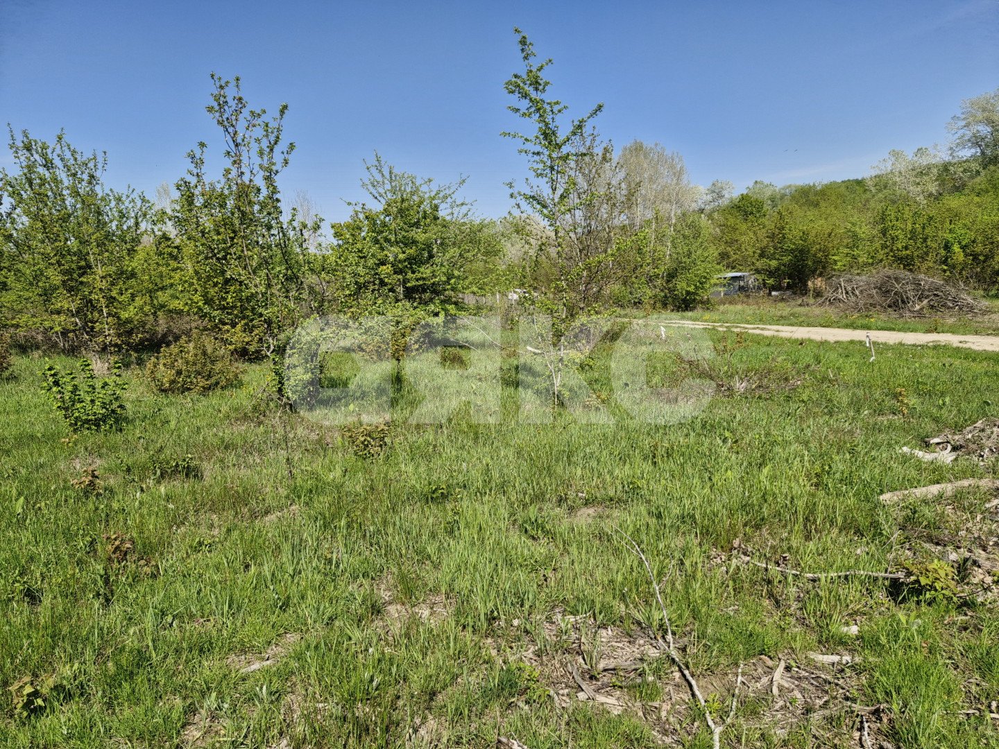 Фото №2: Личное подсобное хозяйство 10 сот. - Надежда, Городская Больница, мкр. жилой комплекс Горячий