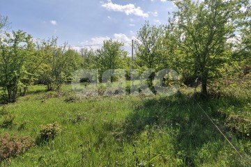 Фото №1: Личное подсобное хозяйство - Надежда, мкр. жилой комплекс Горячий, 