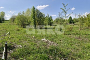 Фото №3: Личное подсобное хозяйство - Надежда, мкр. жилой комплекс Горячий, 