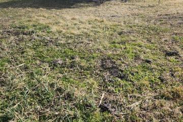 Фото №4: Коммерция 77 м² - Безлесный, ул. Гагарина, 228