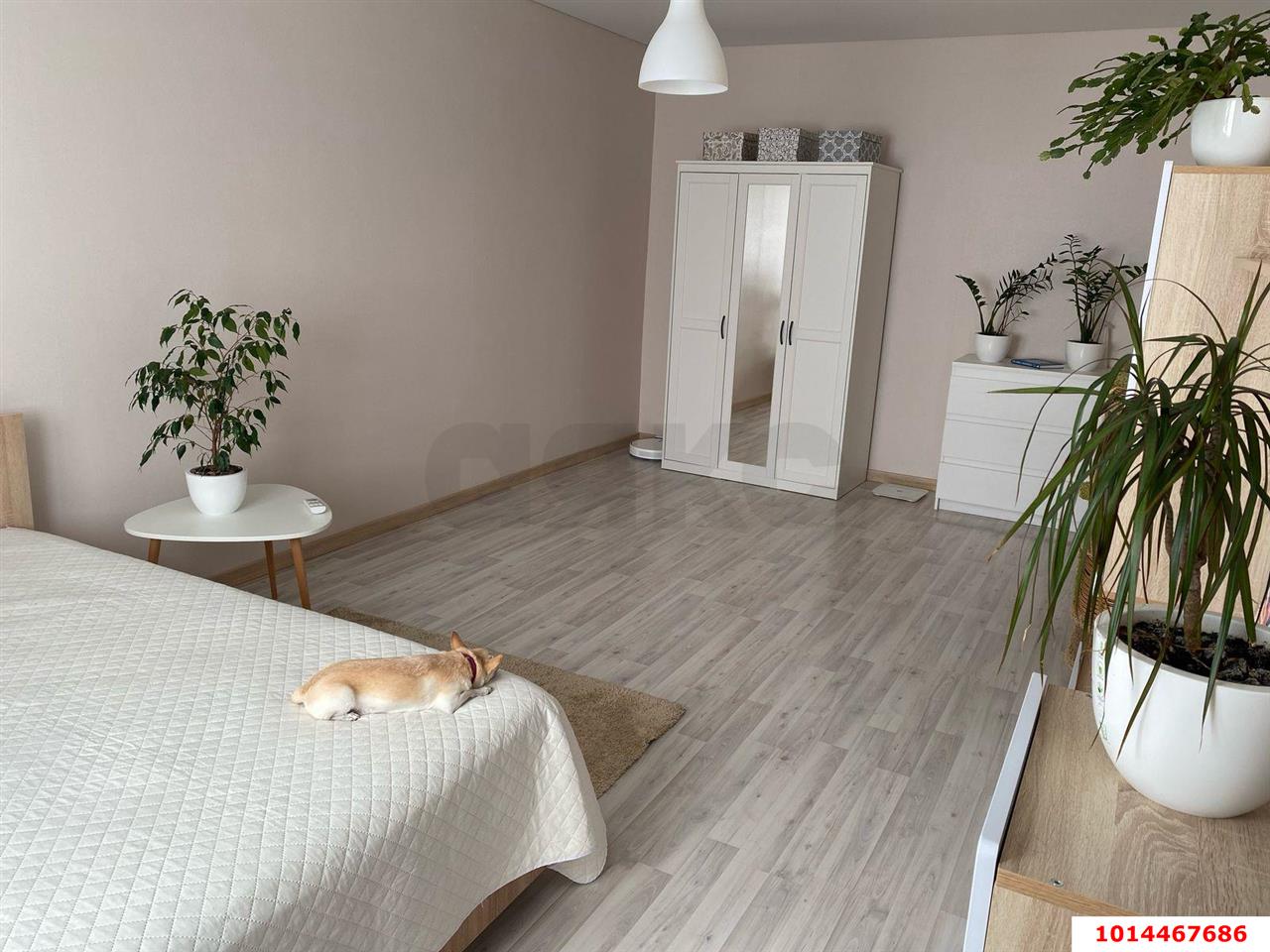 Фото №5: 1-комнатная квартира 47 м² - Горячий Ключ, Администрация, мкр. Администрация, ул. Ленина, 252