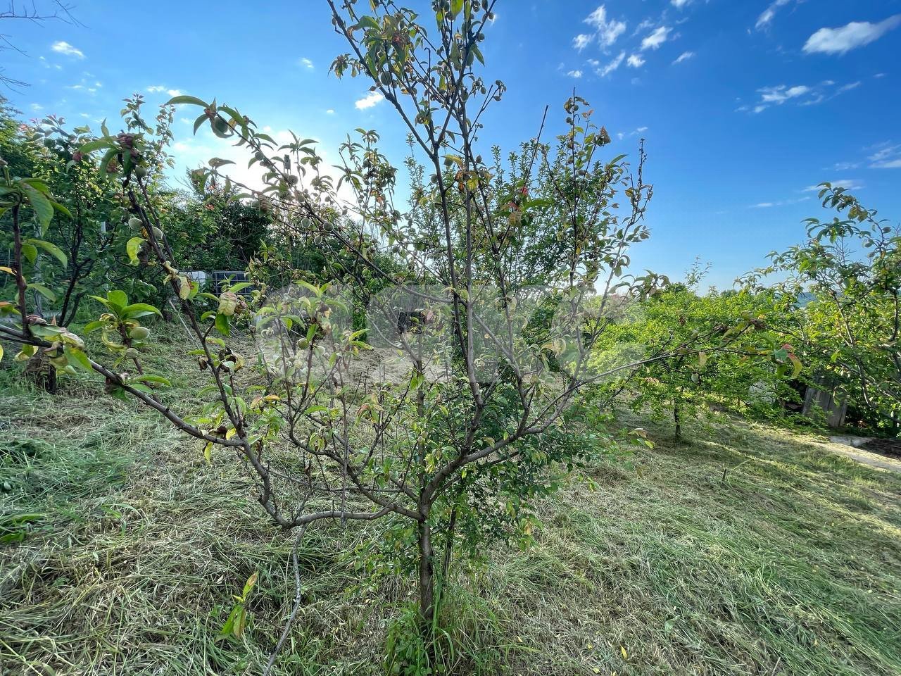 Фото №9: Земельный участок под ИЖС 7 сот. - Горячий Ключ, Курортная Зона, мкр. Курортная Зона, ул. Первомайская