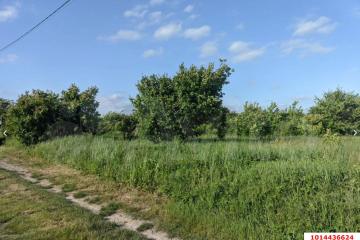 Фото №3: Земельный участок 8 сот. - ДНП Предгорье, ул. Центральная, 281