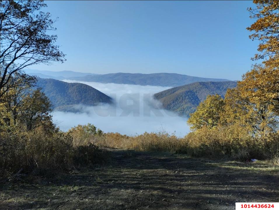 Фото №6: Земельный участок 8 сот. - ДНП Предгорье, ул. Центральная, 281