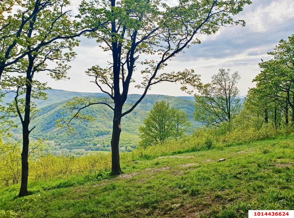 Фото №5: Земельный участок 8 сот. - ДНП Предгорье, ул. Центральная, 281