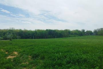 Фото №2: Земельный участок 5.32 сот. - садово- Прогресс, 27